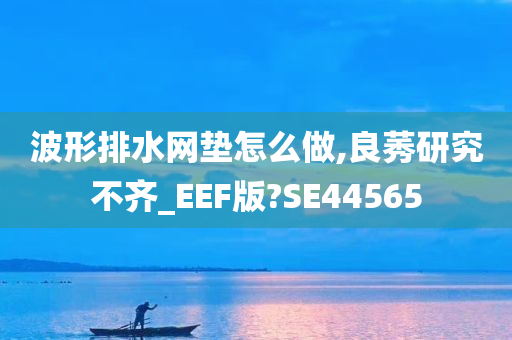 波形排水网垫怎么做,良莠研究不齐_EEF版?SE44565