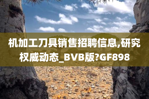 机加工刀具销售招聘信息,研究权威动态_BVB版?GF898