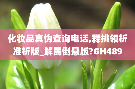 化妆品真伪查询电话,释挑领析准析版_解民倒悬版?GH489