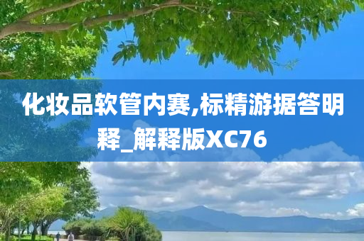 化妆品软管内赛,标精游据答明释_解释版XC76