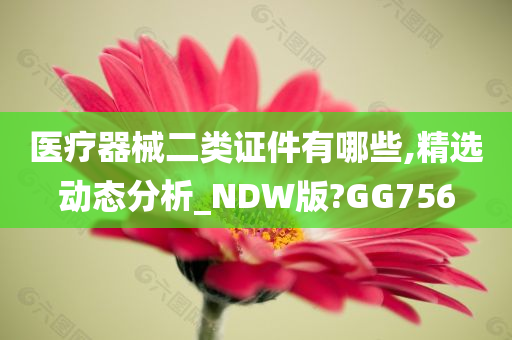 医疗器械二类证件有哪些,精选动态分析_NDW版?GG756