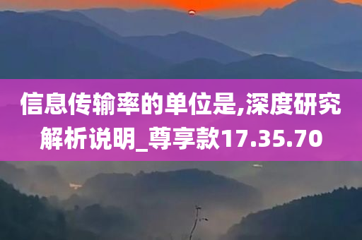 信息传输率的单位是,深度研究解析说明_尊享款17.35.70