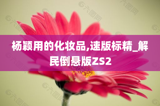 杨颖用的化妆品,速版标精_解民倒悬版ZS2