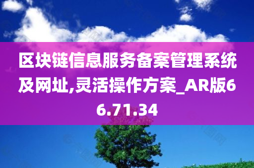 区块链信息服务备案管理系统及网址,灵活操作方案_AR版66.71.34