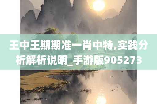 王中王期期准一肖中特,实践分析解析说明_手游版905273