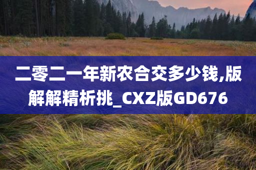 二零二一年新农合交多少钱,版解解精析挑_CXZ版GD676