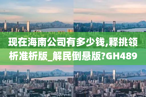 现在海南公司有多少钱,释挑领析准析版_解民倒悬版?GH489