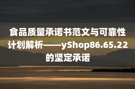 食品质量承诺书范文与可靠性计划解析——yShop86.65.22的坚定承诺