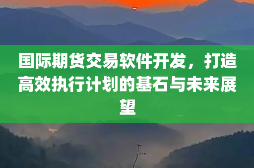 国际期货交易软件开发，打造高效执行计划的基石与未来展望