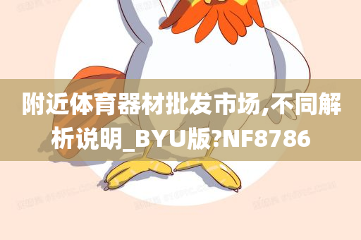 附近体育器材批发市场,不同解析说明_BYU版?NF8786