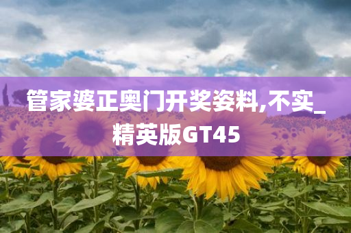 管家婆正奥门开奖姿料,不实_精英版GT45