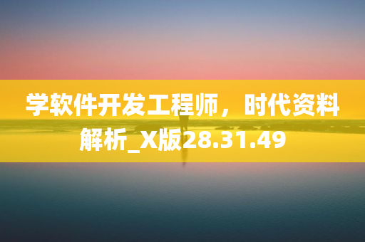 学软件开发工程师，时代资料解析_X版28.31.49