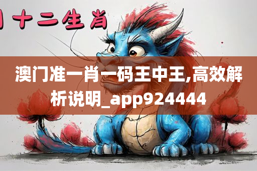 澳门准一肖一码王中王,高效解析说明_app924444