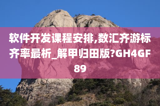 软件开发课程安排,数汇齐游标齐率最析_解甲归田版?GH4GF89