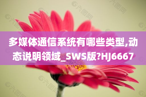 多媒体通信系统有哪些类型,动态说明领域_SWS版?HJ6667