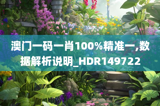 澳门一码一肖100%精准一,数据解析说明_HDR149722