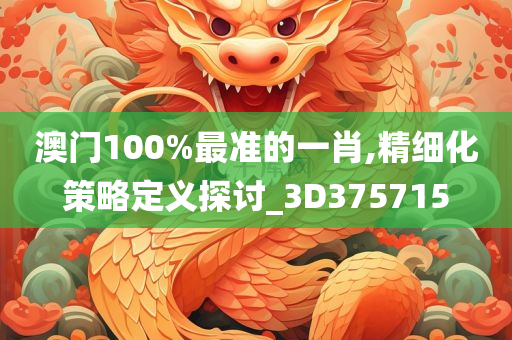 澳门100%最准的一肖,精细化策略定义探讨_3D375715