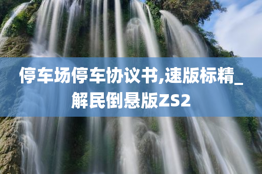 停车场停车协议书,速版标精_解民倒悬版ZS2