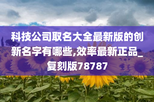 科技公司取名大全最新版的创新名字有哪些,效率最新正品_复刻版78787