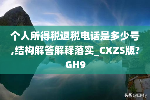 个人所得税退税电话是多少号,结构解答解释落实_CXZS版?GH9