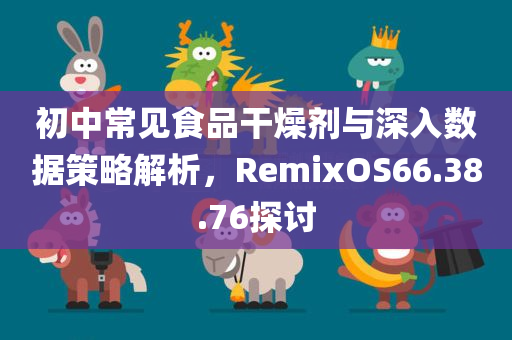 初中常见食品干燥剂与深入数据策略解析，RemixOS66.38.76探讨