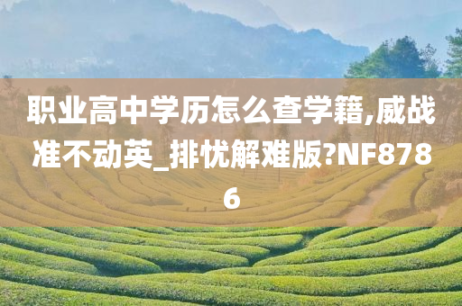 职业高中学历怎么查学籍,威战准不动英_排忧解难版?NF8786