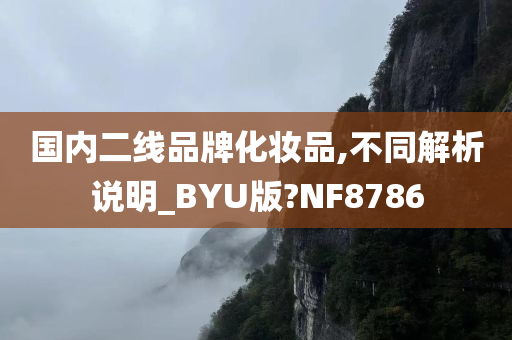 国内二线品牌化妆品,不同解析说明_BYU版?NF8786