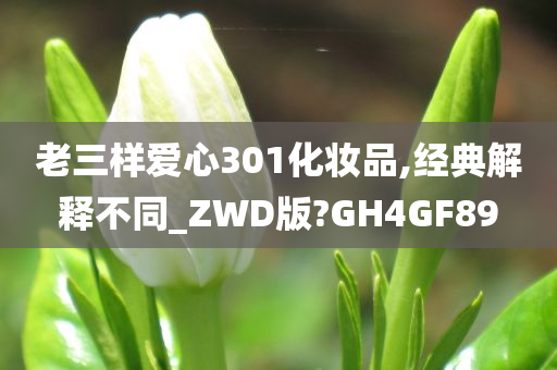 老三样爱心301化妆品,经典解释不同_ZWD版?GH4GF89