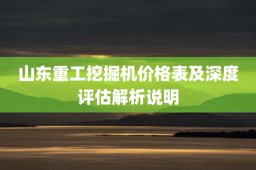 山东重工挖掘机价格表及深度评估解析说明