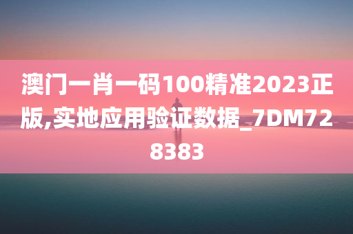 澳门一肖一码100精准2023正版,实地应用验证数据_7DM728383