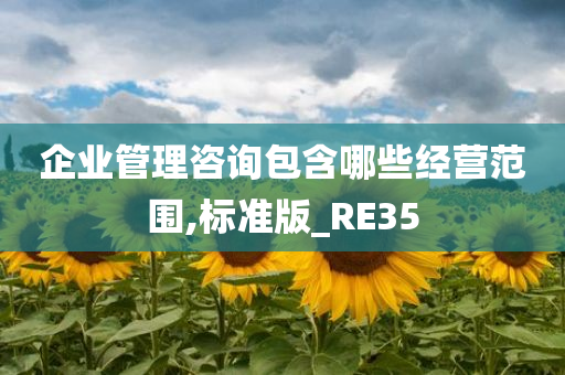 企业管理咨询包含哪些经营范围,标准版_RE35