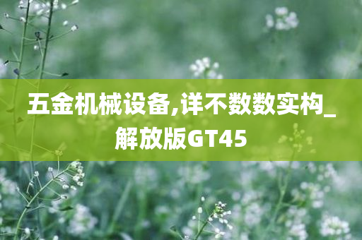 五金机械设备,详不数数实构_解放版GT45