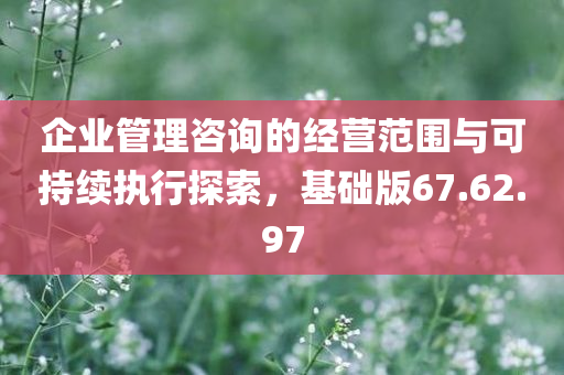 企业管理咨询的经营范围与可持续执行探索，基础版67.62.97