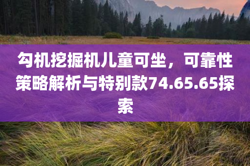 勾机挖掘机儿童可坐，可靠性策略解析与特别款74.65.65探索