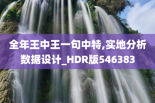 全年王中王一句中特,实地分析数据设计_HDR版546383