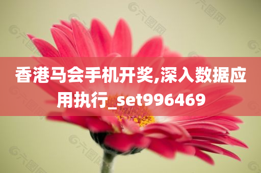 香港马会手机开奖,深入数据应用执行_set996469