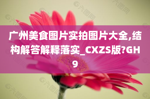 广州美食图片实拍图片大全,结构解答解释落实_CXZS版?GH9