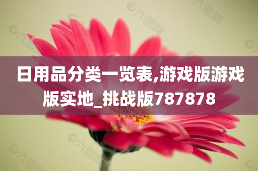 日用品分类一览表,游戏版游戏版实地_挑战版787878