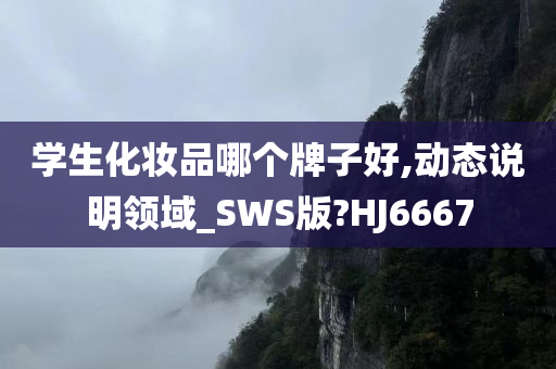 学生化妆品哪个牌子好,动态说明领域_SWS版?HJ6667