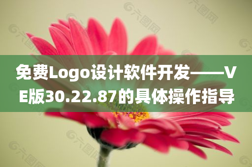 免费Logo设计软件开发——VE版30.22.87的具体操作指导