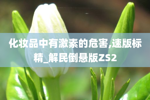 化妆品中有激素的危害,速版标精_解民倒悬版ZS2