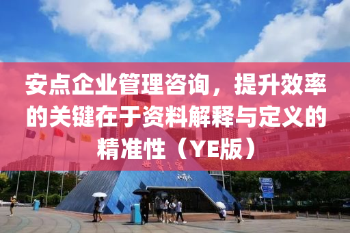 安点企业管理咨询，提升效率的关键在于资料解释与定义的精准性（YE版）