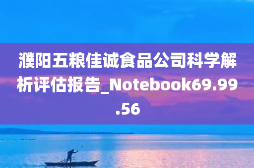 濮阳五粮佳诚食品公司科学解析评估报告_Notebook69.99.56