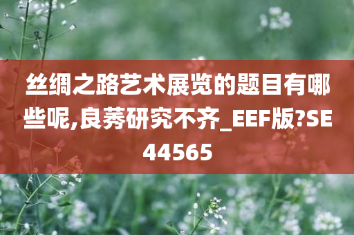 丝绸之路艺术展览的题目有哪些呢,良莠研究不齐_EEF版?SE44565