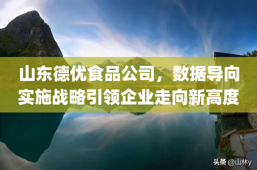 山东德优食品公司，数据导向实施战略引领企业走向新高度