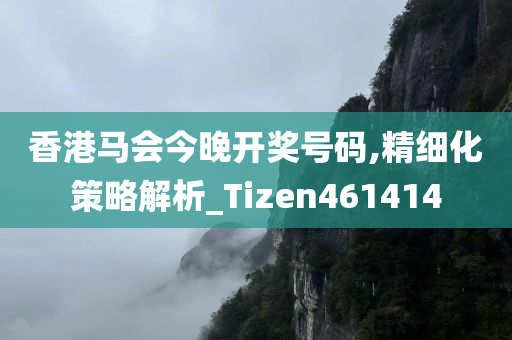 香港马会今晚开奖号码,精细化策略解析_Tizen461414