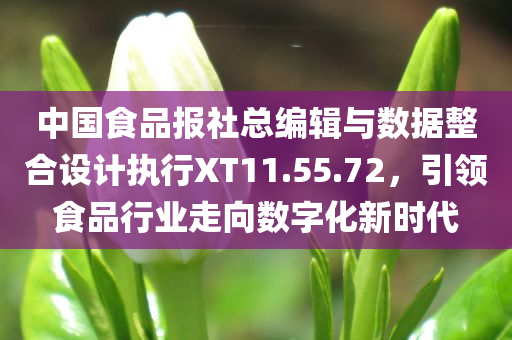 中国食品报社总编辑与数据整合设计执行XT11.55.72，引领食品行业走向数字化新时代