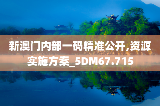 新澳门内部一码精准公开,资源实施方案_5DM67.715