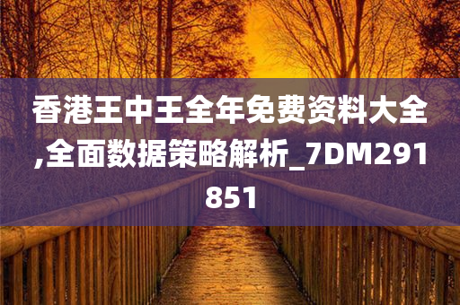 香港王中王全年免费资料大全,全面数据策略解析_7DM291851