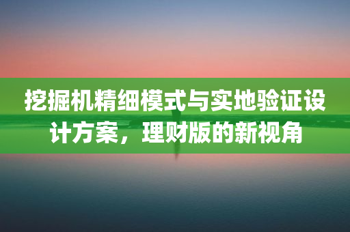 挖掘机精细模式与实地验证设计方案，理财版的新视角